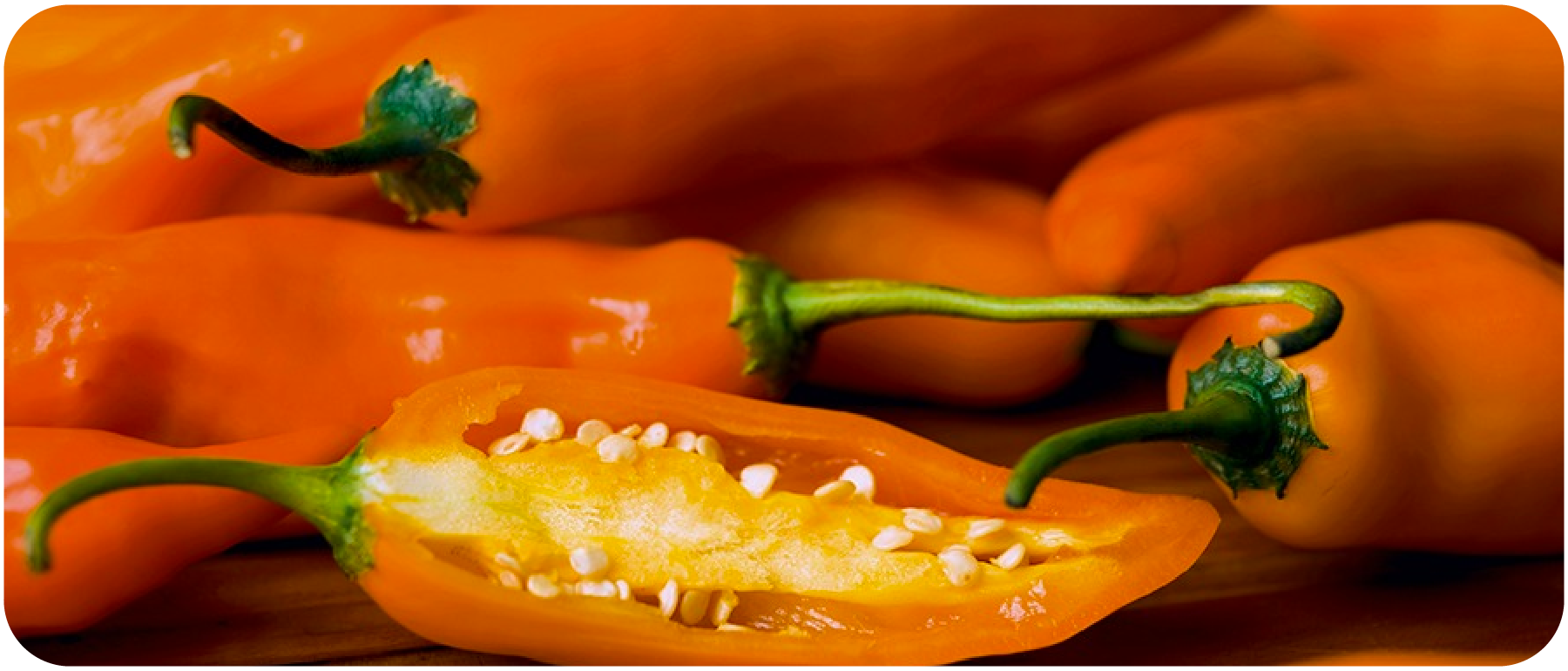 Best Aji Amarillo sauce