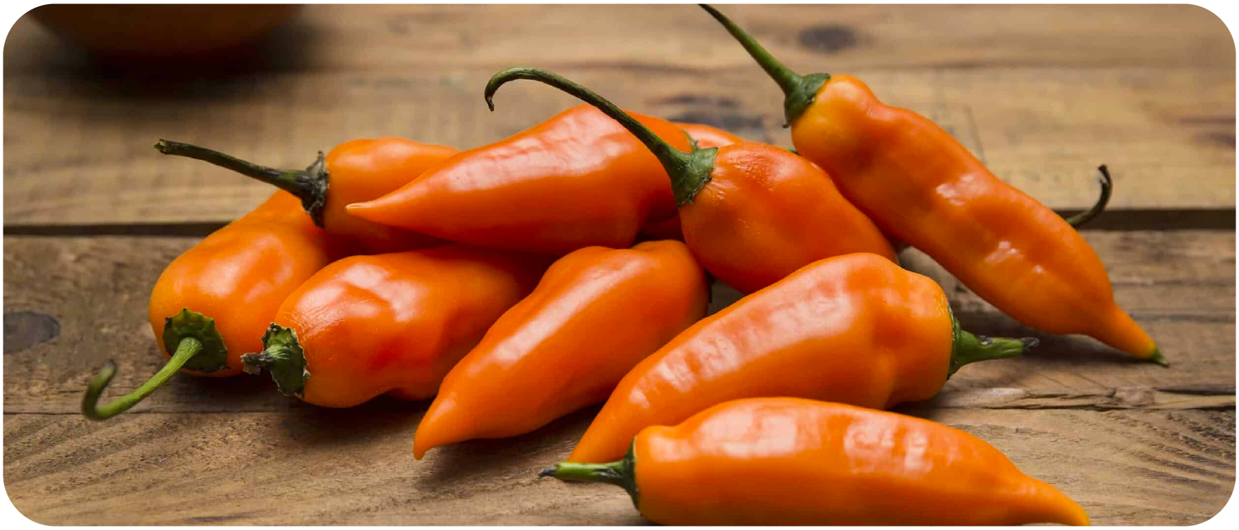Peruvian Food Items You need in Your Home Kitchen