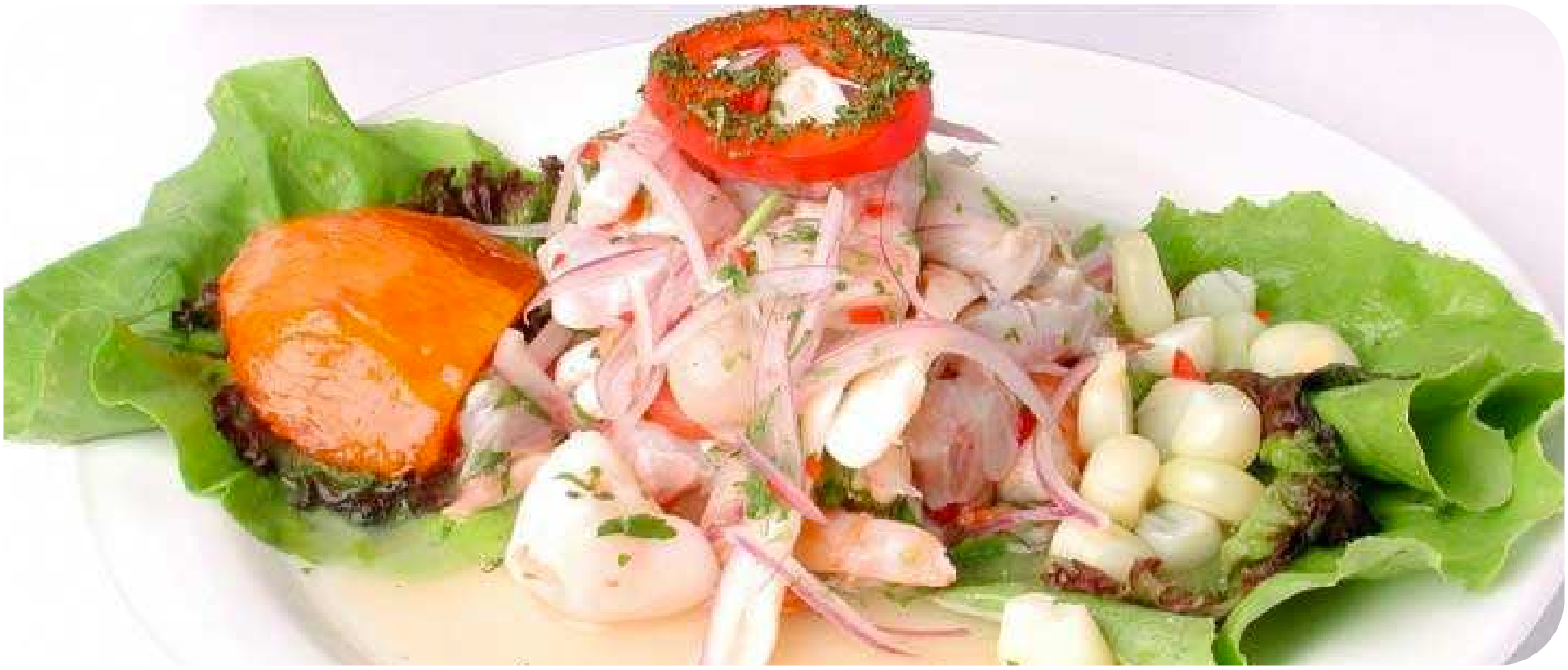 Amazing tips for the best Peruvian Ceviche