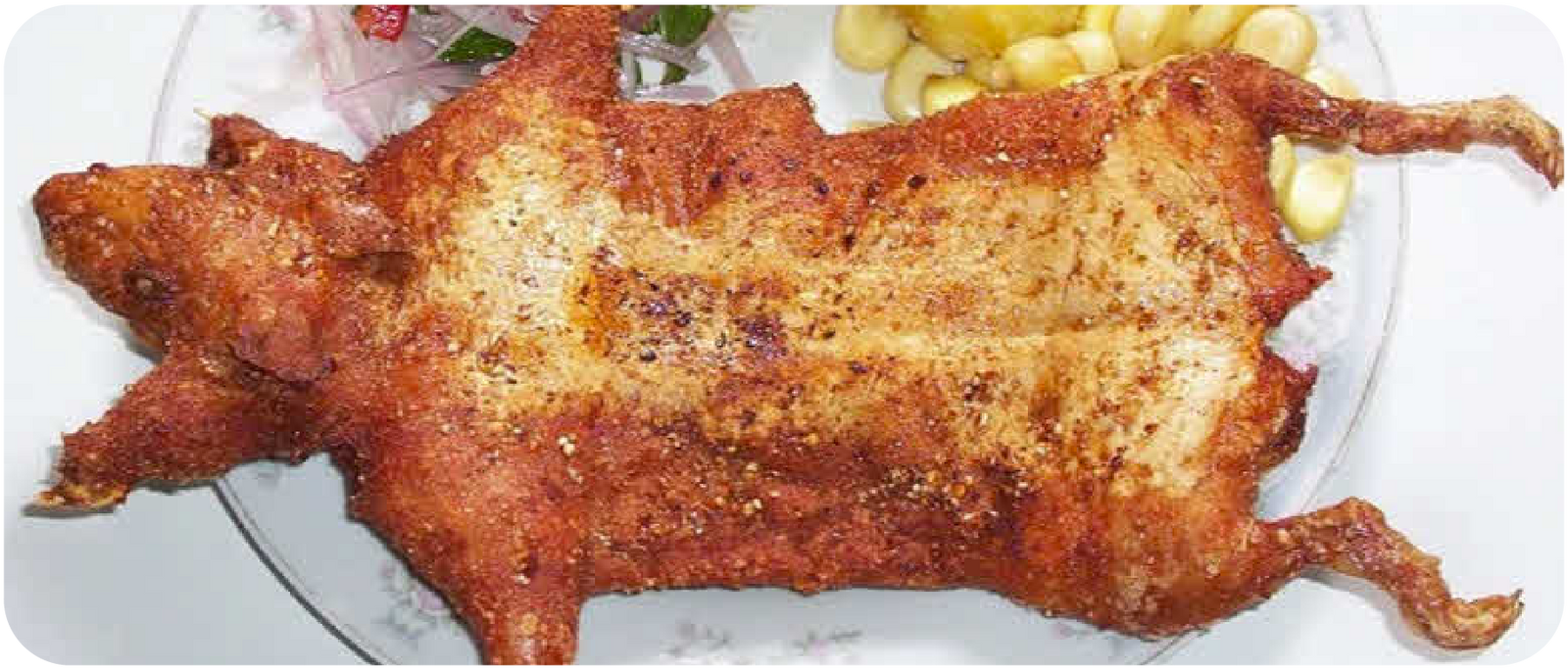 Fried cuy best sale