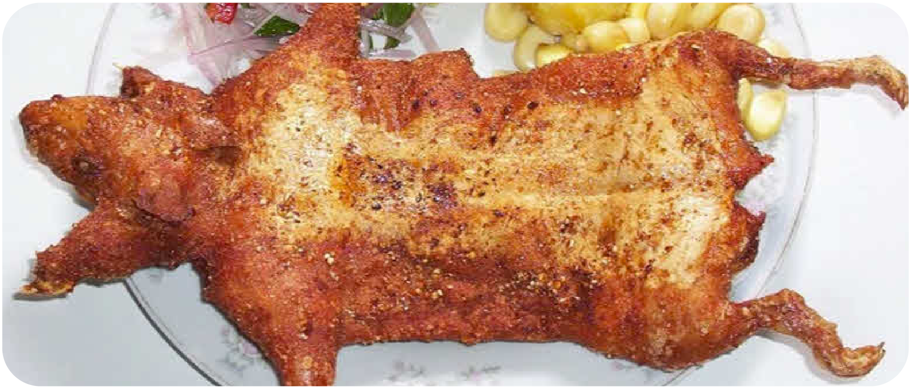 Guinea pig peruvian food best sale